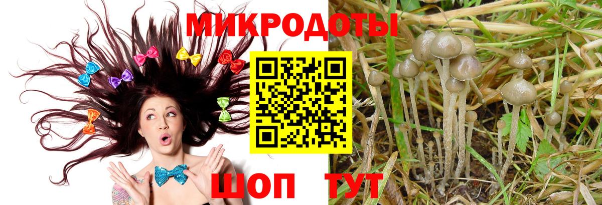 Псилоцибиновые грибы GOLDEN TEACHER  Вход с VPN  Галлюциногенные грибы Psilocybine cubensis  Бийск 